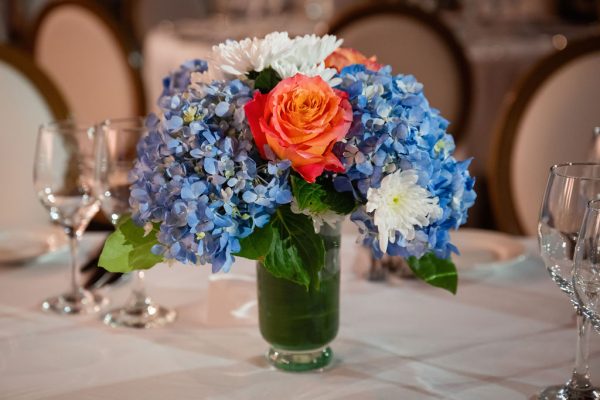 DSC_2334-F DSC_2334-F